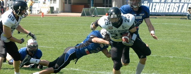 ALF BLUE DEVILS - WILD BOARS sajt
