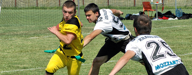 fleg bor golden bears kragujevac wild boars veprovi (2)