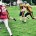 indija indans bor golden bears