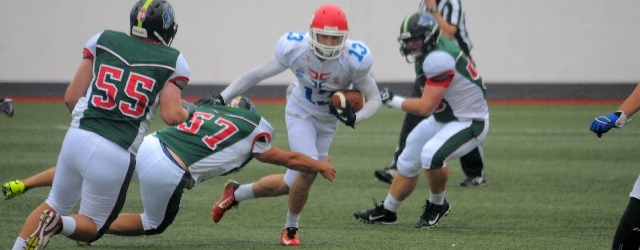 Srbija - Madjarska 2015 - 4 Stepovic