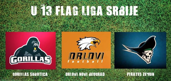 U13 fleg liga petlića Grupa Sever Orlovi bez poraza