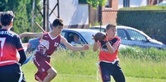 Pionirska fleg liga Srbije