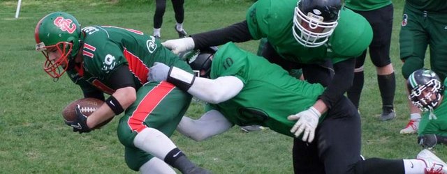 JAGODINA CELTS sajt
