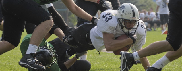 Stefan Dedic rb