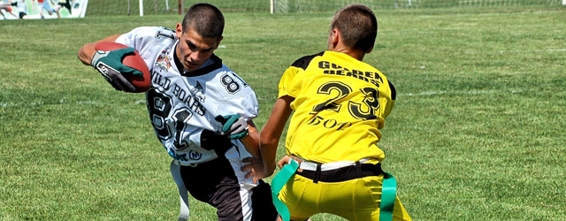 fleg bor golden bears kragujevac wild boars veprovi