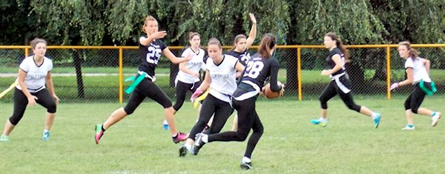zene panthers ladies valkyries