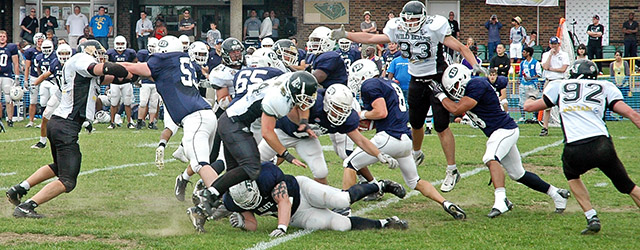london blitz wild boars