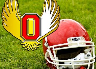 Obrenovac Hawks