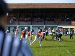 Druga liga Srbije 2017: Mammoths Kikinda