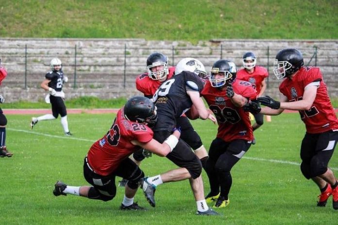 lavovi_panthers_2018_a