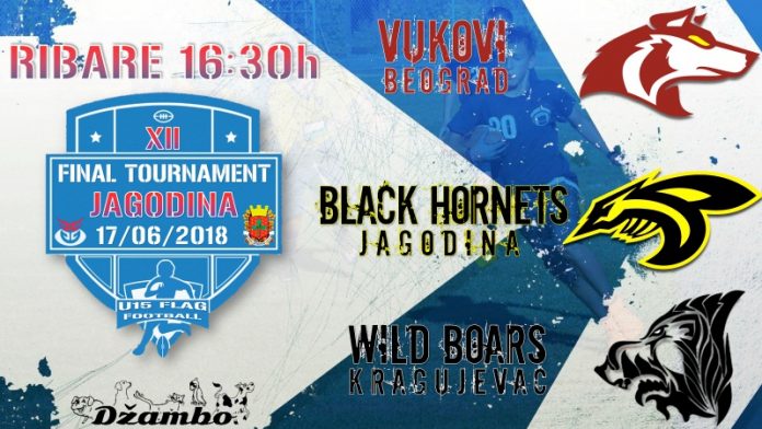 u15_fleg_finale_2018