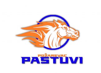 Kapiten Saša Petrović