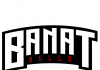 Banat Bulls
