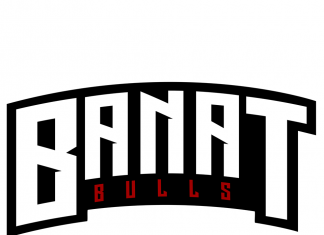 Banat Bulls