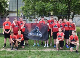 Subotica Gorillas