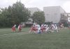 Novi Sad Wild Dogs