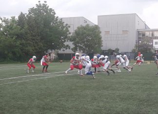 Novi Sad Wild Dogs