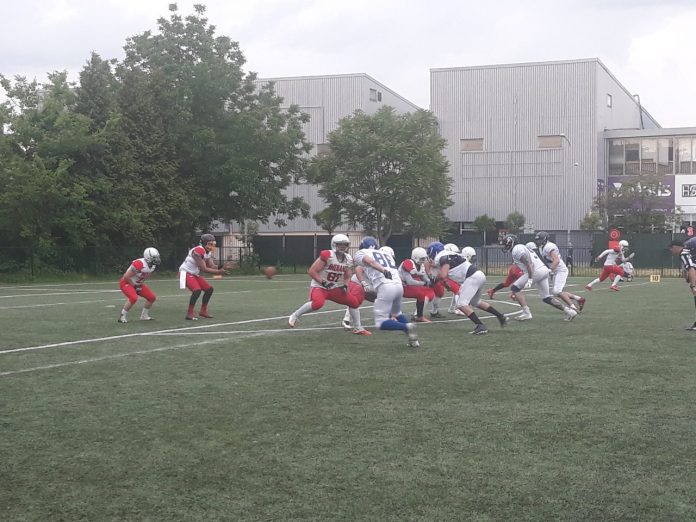 Novi Sad Wild Dogs vs Inđija Indians Novi Sad Wild Dogs