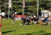 Bikovi vs Stallions