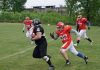 Hawks vs Vidre