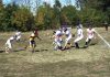 Kraljevo Royal Crowns vs Novi Beograd Orlovi