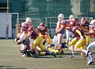 SBB Vukovi Beograd vs Kikinda Mammoths