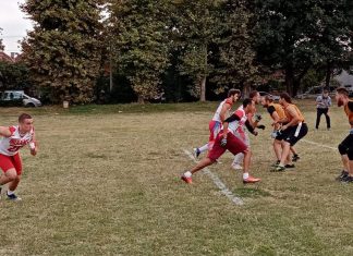 Seniorska fleg liga Srbije