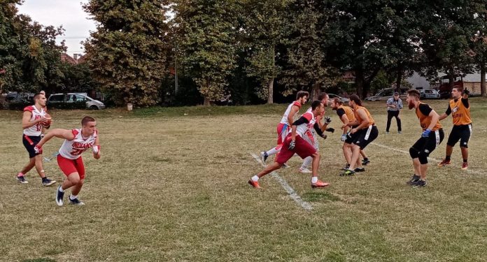 Seniorska fleg lgia Srbije- Grupa Sever Seniorska fleg liga Srbije