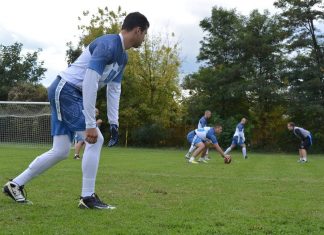 Seniorska fleg liga Srbije Grupa Jug