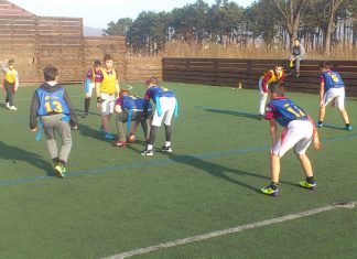 U12 fleg liga Kraljeva