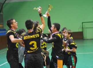 Stršljeni ponovo šampioni