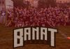 Banat Bulls