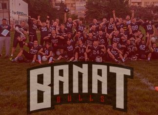 Banat Bulls
