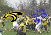 Black Hornets vs Wild Dogs