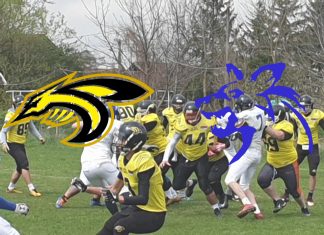 Black Hornets vs Wild Dogs