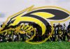 Jagodina Black Hornets