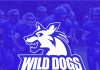 Novi Sad Wild Dogs 2021