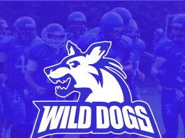 Novi Sad Wild Dogs 2021