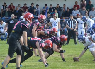 Wild Dogs Novi Sad vs Banat Bulls