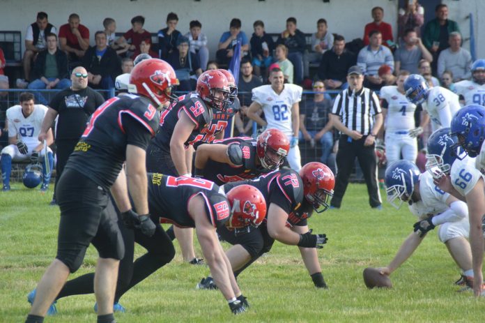 Wild Dogs Novi Sad vs Banat Bulls Wild Dogs Novi Sad vs Banat Bulls