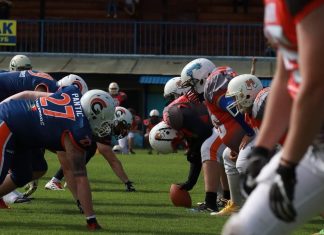 Kikinda Mammoths vs Gladijatori Beograd
