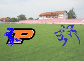 Požarevac Pastuvi vs Novi Sad Divlji psi
