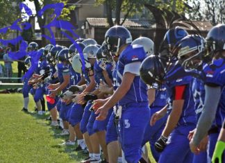 Wild Dogs Novi Sad vs Kragujevac Wild Boars