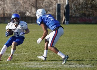 Plavi zmajevi vs Wild Dogs 2022