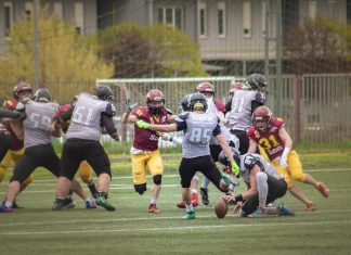 Vukovi Beograd Kragujevac Wild boars Večiti derbi