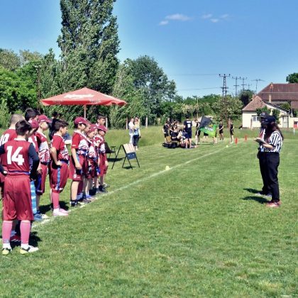 Pionirska fleg liga Srbije