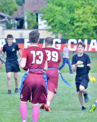 Pionirska fleg liga Srbije