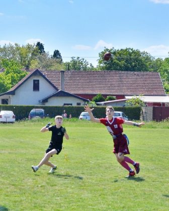 Pionirska fleg liga Srbije