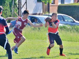 Pionirska fleg liga Srbije