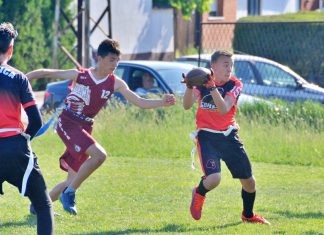 Pionirska fleg liga Srbije